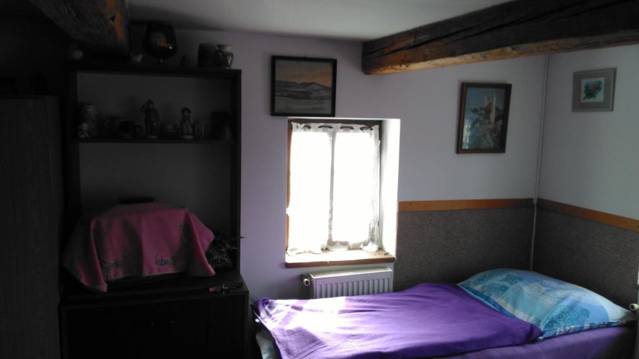 Drevenka Otel Provodin Dış mekan fotoğraf